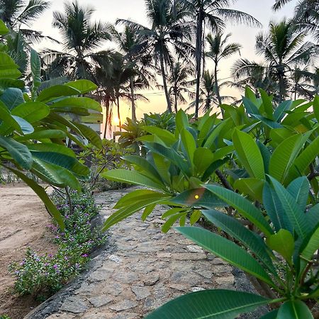 Santa Maria, Trivandrum - An Airport Boutique By The Sea Bed & Breakfast Thiruvananthapuram Eksteriør bilde