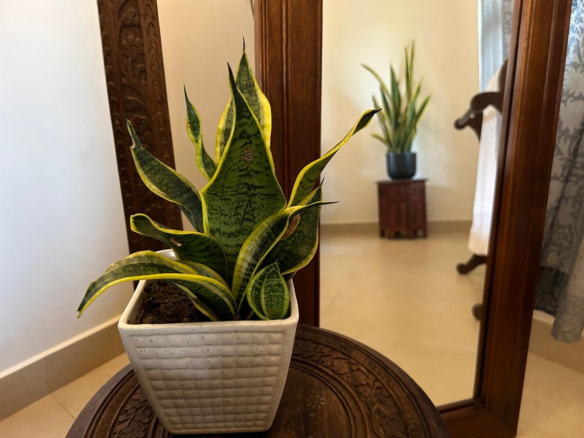 Santa Maria, Trivandrum - An Airport Boutique By The Sea Bed & Breakfast Thiruvananthapuram Eksteriør bilde