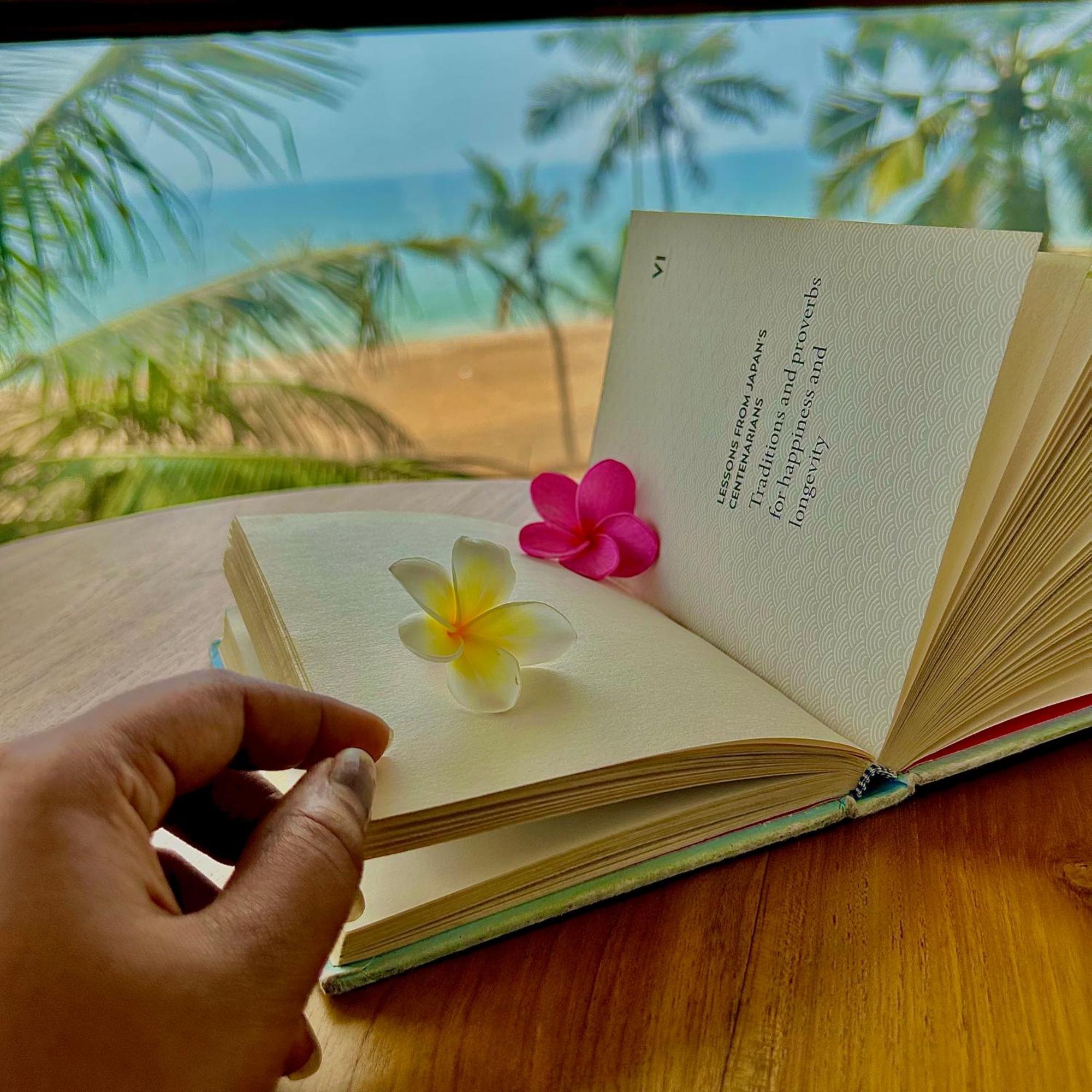 Santa Maria, Trivandrum - An Airport Boutique By The Sea Bed & Breakfast Thiruvananthapuram Eksteriør bilde