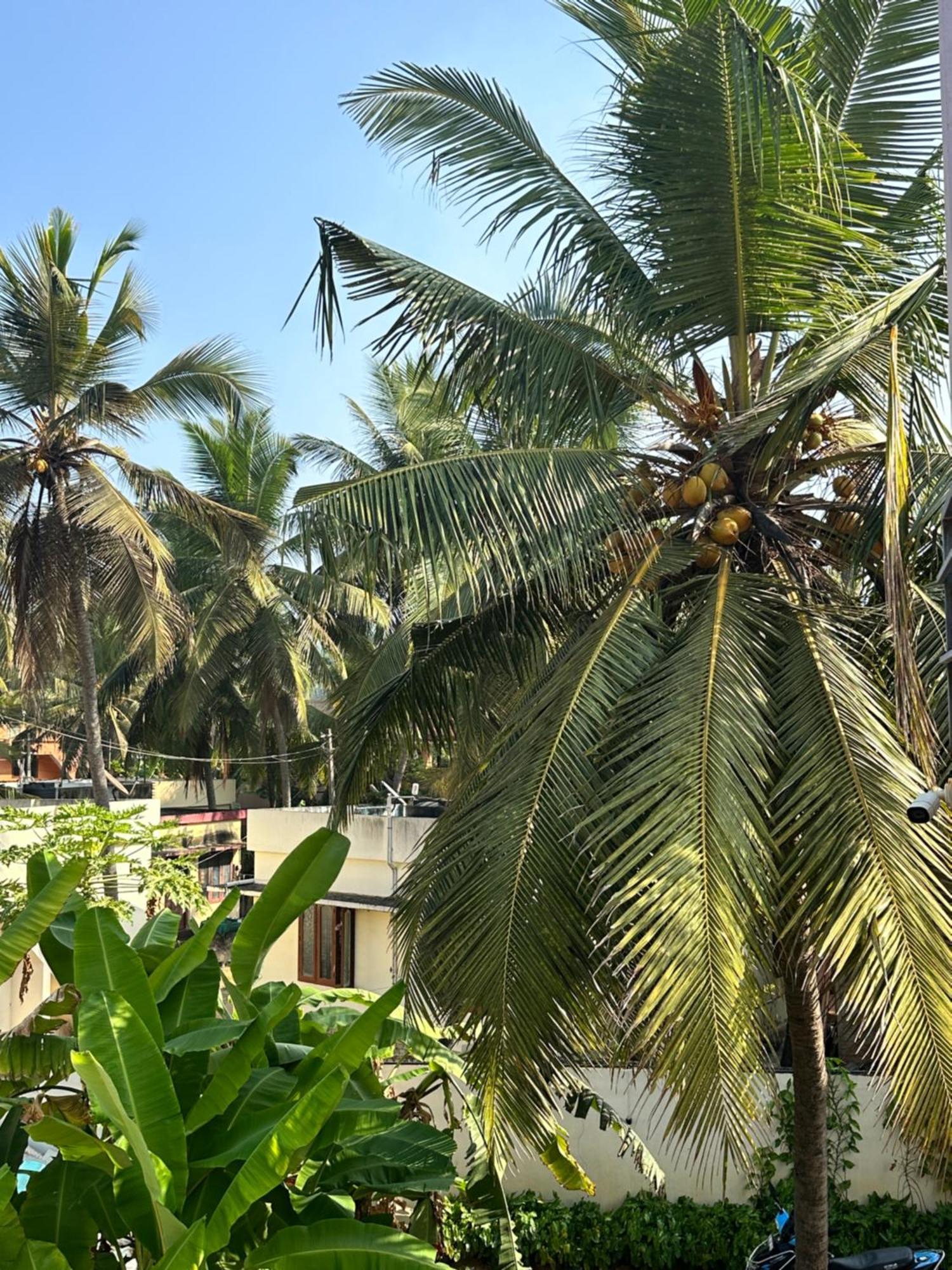 Santa Maria, Trivandrum - An Airport Boutique By The Sea Bed & Breakfast Thiruvananthapuram Eksteriør bilde