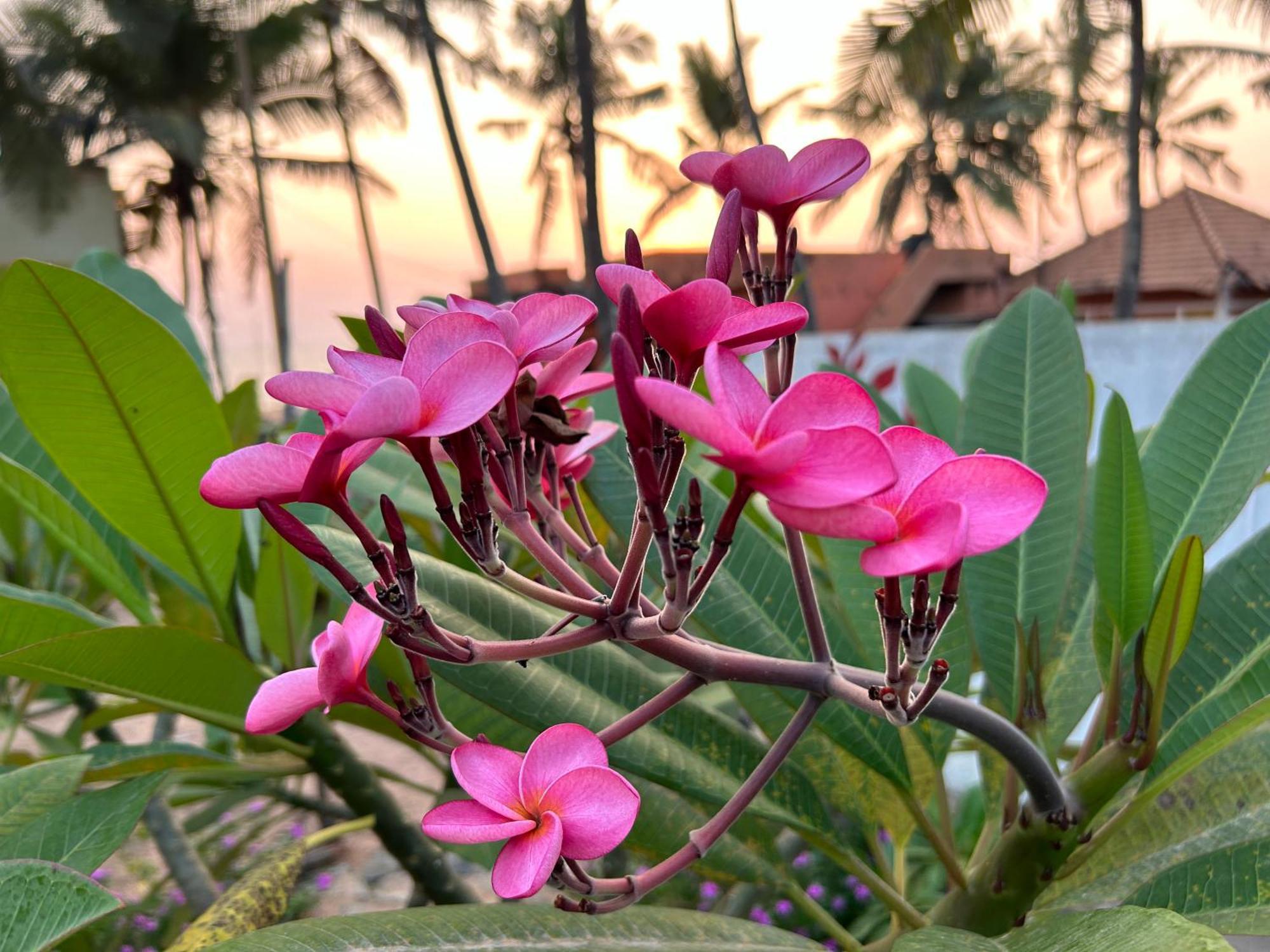 Santa Maria, Trivandrum - An Airport Boutique By The Sea Bed & Breakfast Thiruvananthapuram Eksteriør bilde